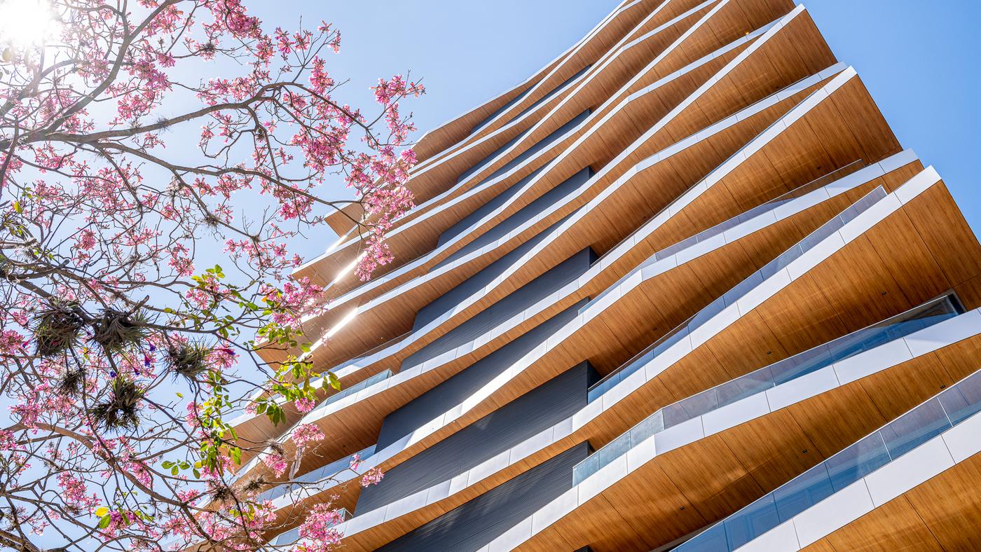 Fachada de edifício residencial entre as flores rosa de uma árvore, no bairro Rio Branco, em Porto Alegre